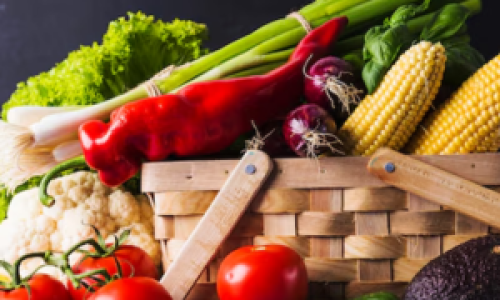 Fresh Provisions