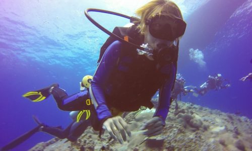 Immersion Suits